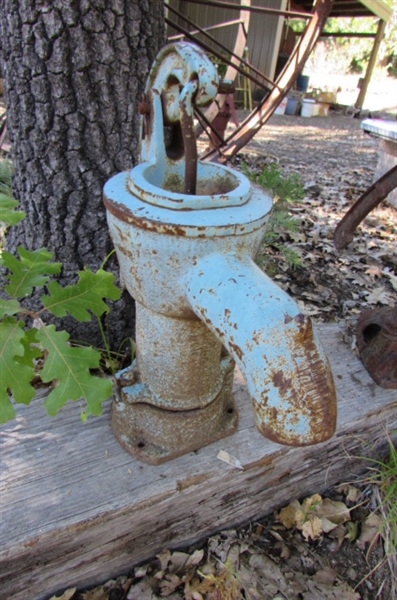 OLD BLUE WATER PUMP YARD ART