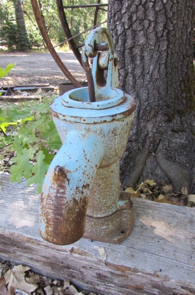 OLD BLUE WATER PUMP YARD ART