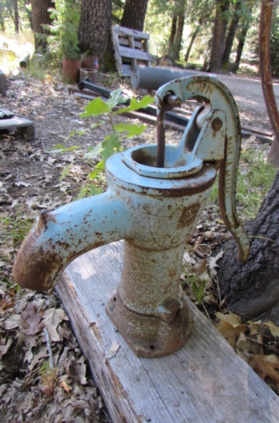 OLD BLUE WATER PUMP YARD ART