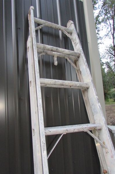 EXTENSION AND STEP LADDERS