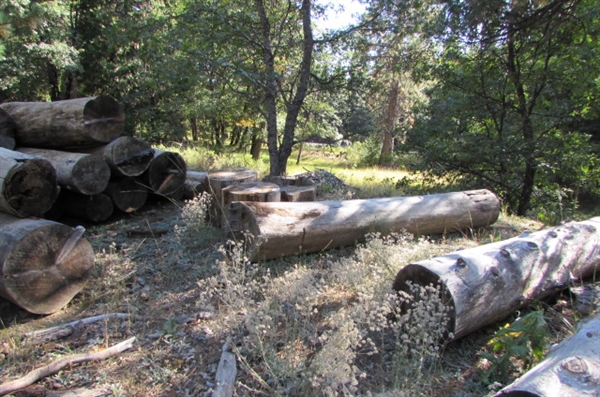 READY TO CUT FIREWOOD LOGS & ROUNDS