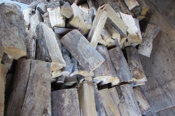 CUT AND STACKED FIREWOOD IN SHED