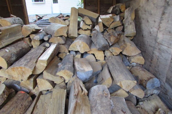 CUT AND STACKED FIREWOOD IN SHED