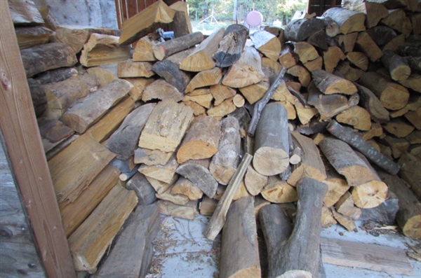 CUT AND STACKED FIREWOOD IN SHED