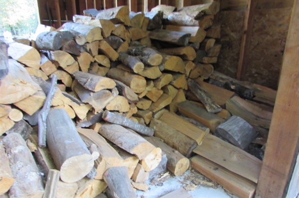 CUT AND STACKED FIREWOOD IN SHED