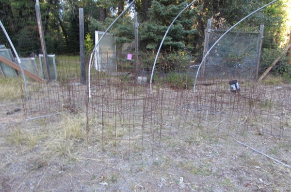 LARGE COLLECTION OF WIRE PLANT CAGES