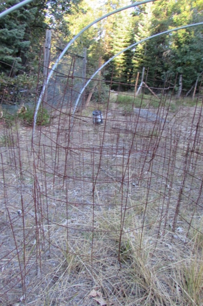 LARGE COLLECTION OF WIRE PLANT CAGES