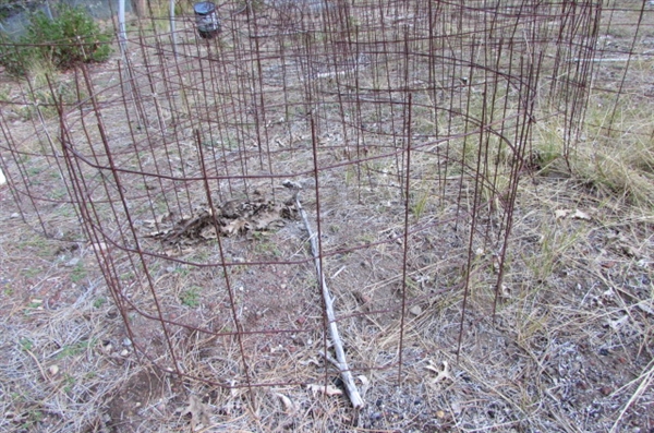 LARGE COLLECTION OF WIRE PLANT CAGES