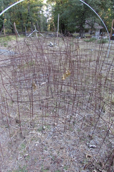 LARGE COLLECTION OF WIRE PLANT CAGES