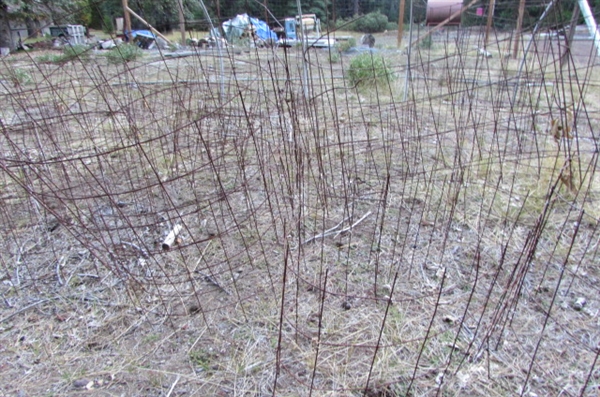 LARGE COLLECTION OF WIRE PLANT CAGES