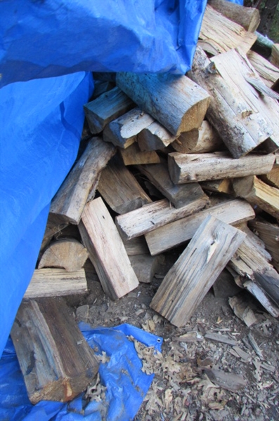 PILE OF SPLIT FIREWOOD