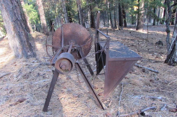 ANTIQUE WOOD SAW - YARD ART?