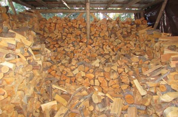 FIREWOOD - SEASONED, CUT & STACKED - OVER 2 CORDS