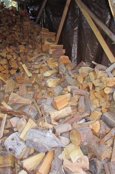 FIREWOOD - SEASONED, CUT & STACKED - OVER 2 CORDS