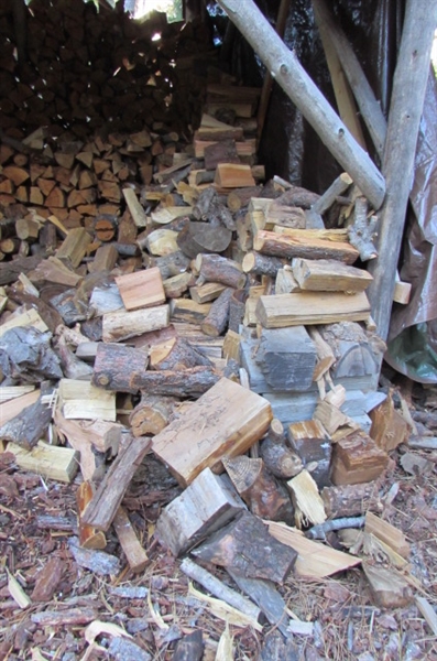 FIREWOOD - SEASONED, CUT & STACKED - OVER 2 CORDS