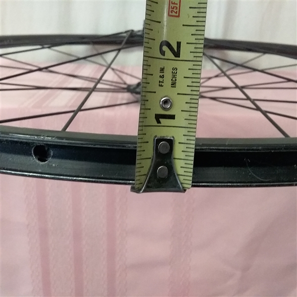 VENTURA FREEWHEEL AND BICYCLE WHEEL