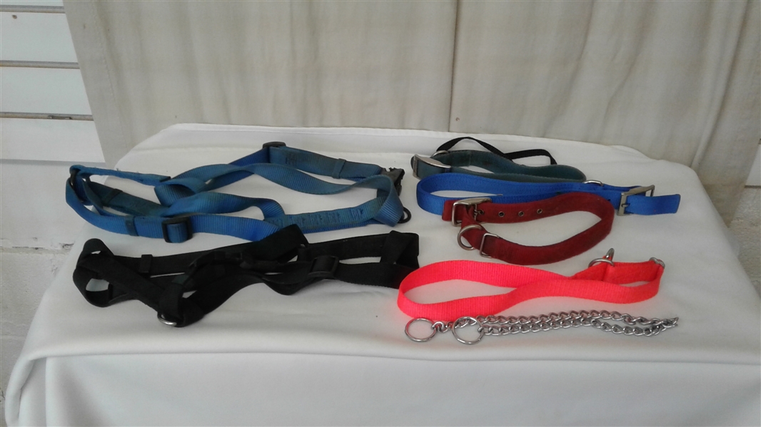 MEDIUM-LARGE DOG CARE LOT- LEASHES, SHOCK COLLAR, COLLARS, SAFETY VESTS, DOGGLES, AND MORE