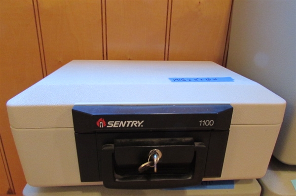 sentry 1100 safe