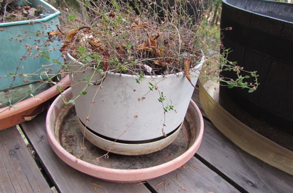 PLASTIC PLANTERS WITH DRIP TRAYS & A WATERING CAN