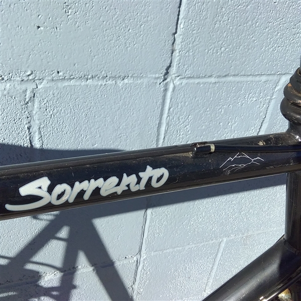 MENS DIAMOND BACK SORRENTO BICYCLE 