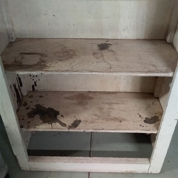 TALL WOOD CABINET