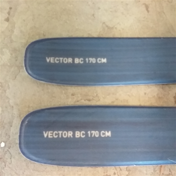 VOILE VECTOR BC 170 CM SKIS
