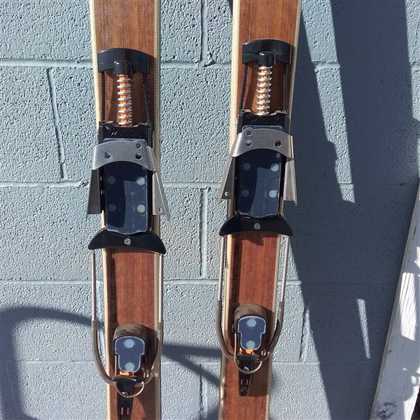 SKI TRAB STELVIO SKIS