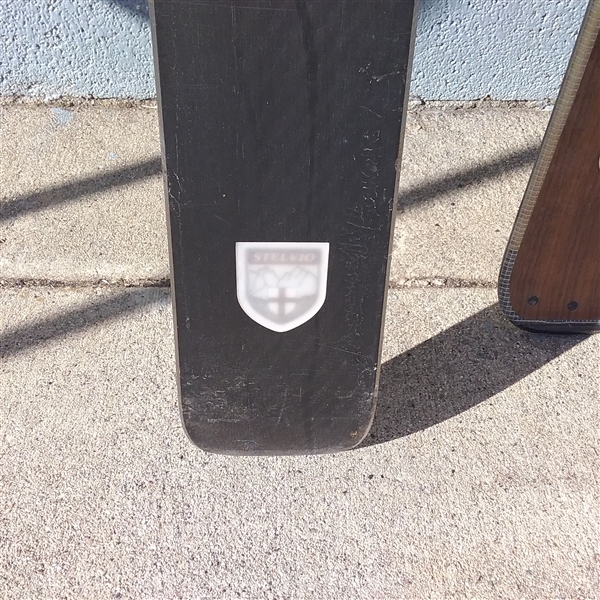 SKI TRAB STELVIO SKIS