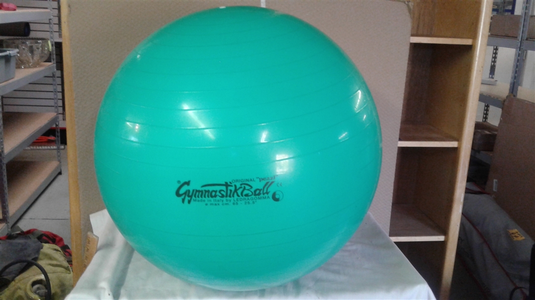 GYMNASTIKBALL 25.5