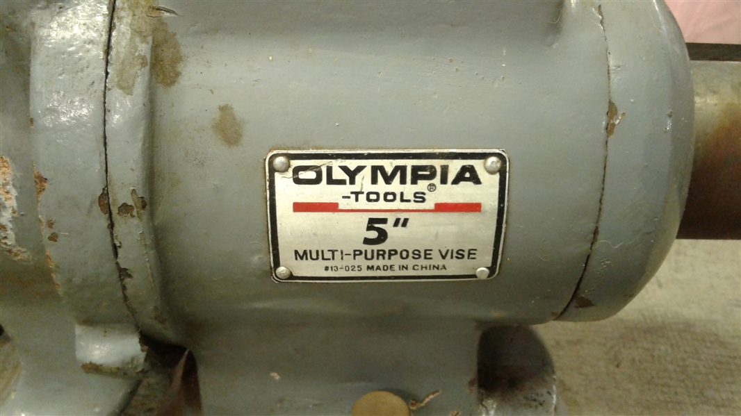 OLYMPIA TOOLS 5  MULTI-PURPOSE VISE