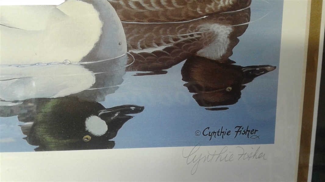 SIGNED, NUMBERED, MATTED AND FRAMED CYNTHIE FISHER DUCK STAMP PRINT BEST OF STATE