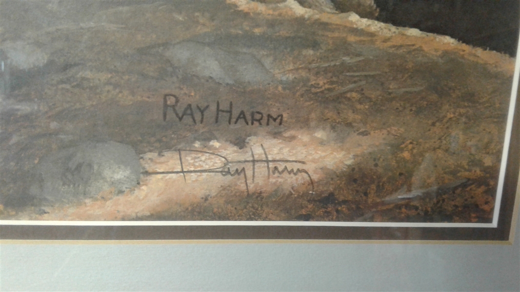 RAY HARM SIGNED AND NUMBERED LIMITED EDITION PRINT MATTED AND FRAMED