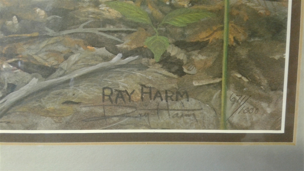 RAY HARM SIGNED AND NUMBERED LIMITED EDITION PRINT MATTED AND FRAMED