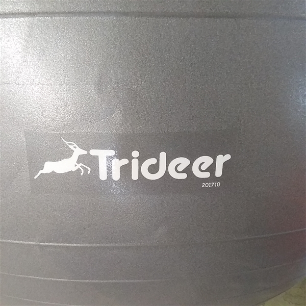 TRIDEER EXCERCISE BALL, FOAM ROLLER & OTHER EXCERCISES EQUIPMENT 