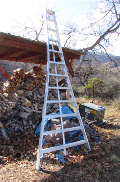 12' ALUMINUM TRIPOD ORCHARD LADDER