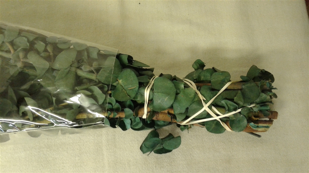 PRESERVED EUCALYPTUS BUNDLE