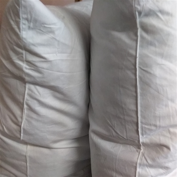 PAIR OF 26 X 26 DUCK FEATHER PILLOWS