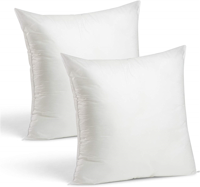 PAIR OF 24 X 24 FEATHER AND DOWN PILLOWS 