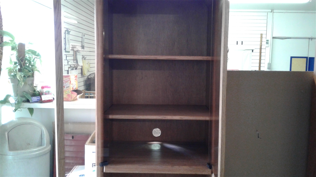 MEDIA CABINET/SHELVES WITH TOP LIGHT