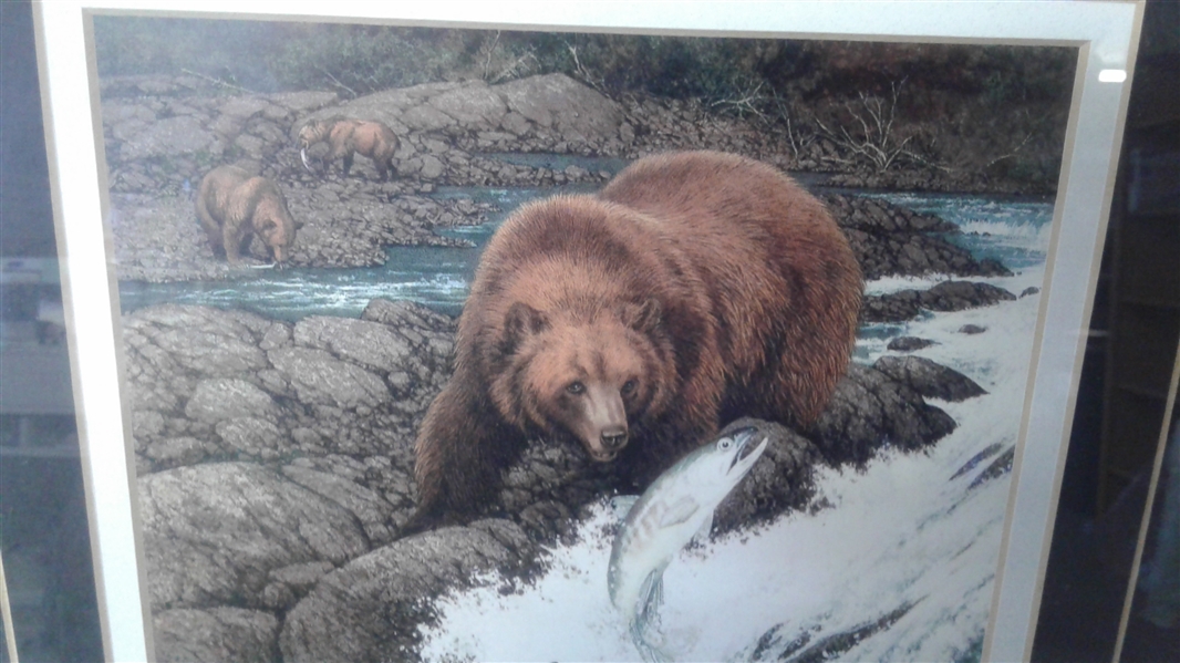 14.5x14.5 MATTED AND FRAMED BEAR IN STREAM PRINT