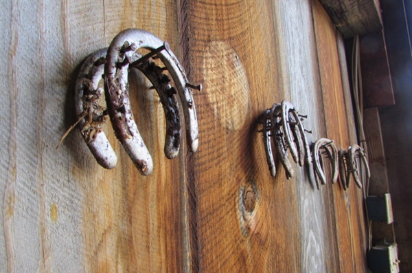 HORSESHOES, METAL RINGS & MORE