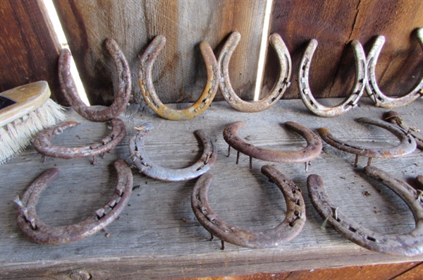 HORSESHOES, METAL RINGS & MORE