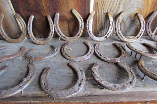 HORSESHOES, METAL RINGS & MORE