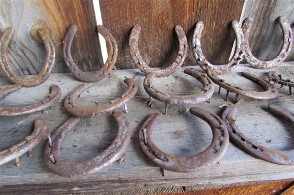 HORSESHOES, METAL RINGS & MORE