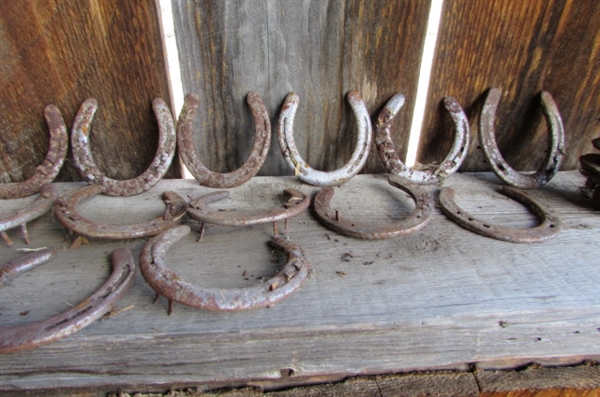 HORSESHOES, METAL RINGS & MORE