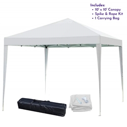 10 x 10 POP-UP CANOPY WITH CARRY BAG