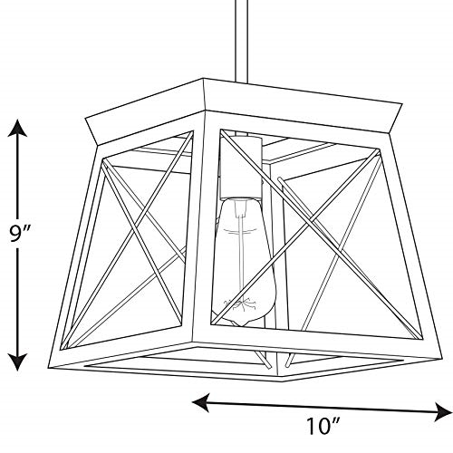 Progress Lighting P500041-143 Briarwood One-Light Mini-Pendant, Graphite