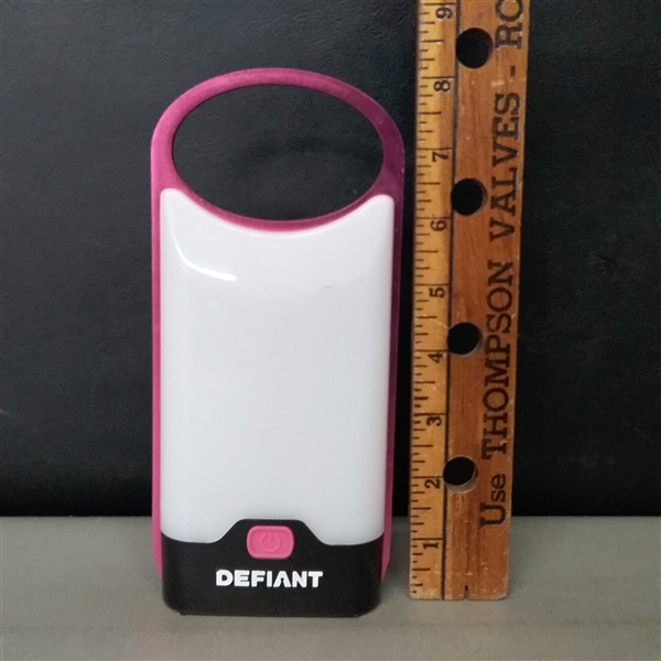 Defiant Handheld LED light with 2 Modes