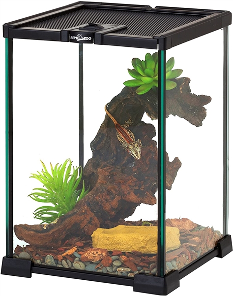 Lot Detail - ReptiZoo Mini Reptile Glass Terrarium Tank Full View Mini ...