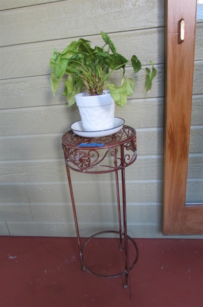 METAL PLANT STAND & LIVE PLANT